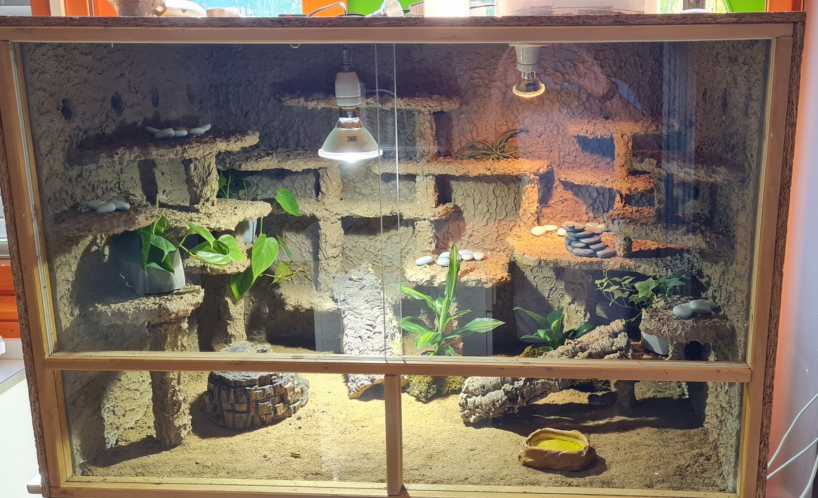 Gecko Terrarium